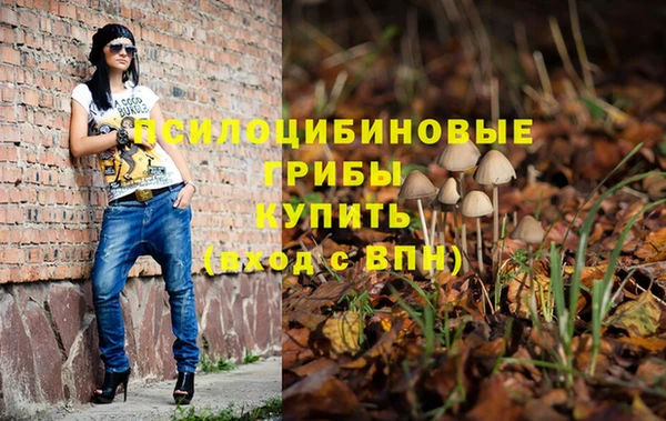 наркотики Алексин